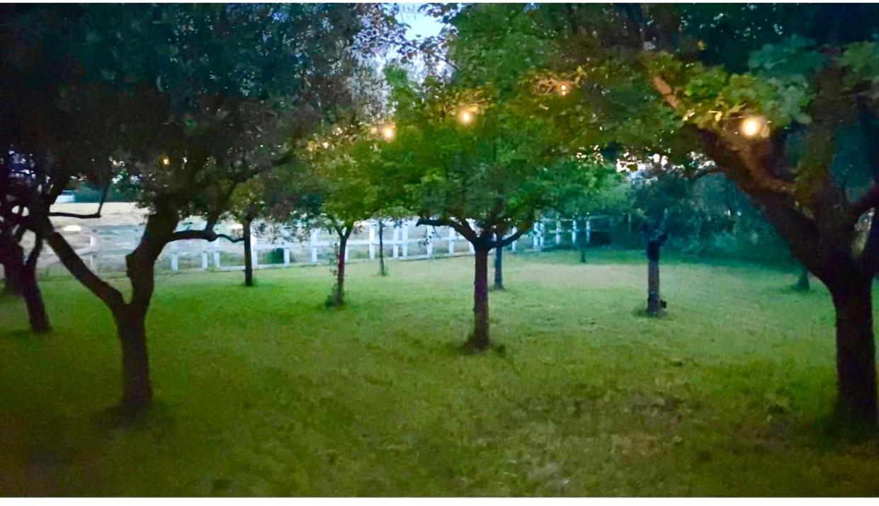 Luxe tent O.k. Corral